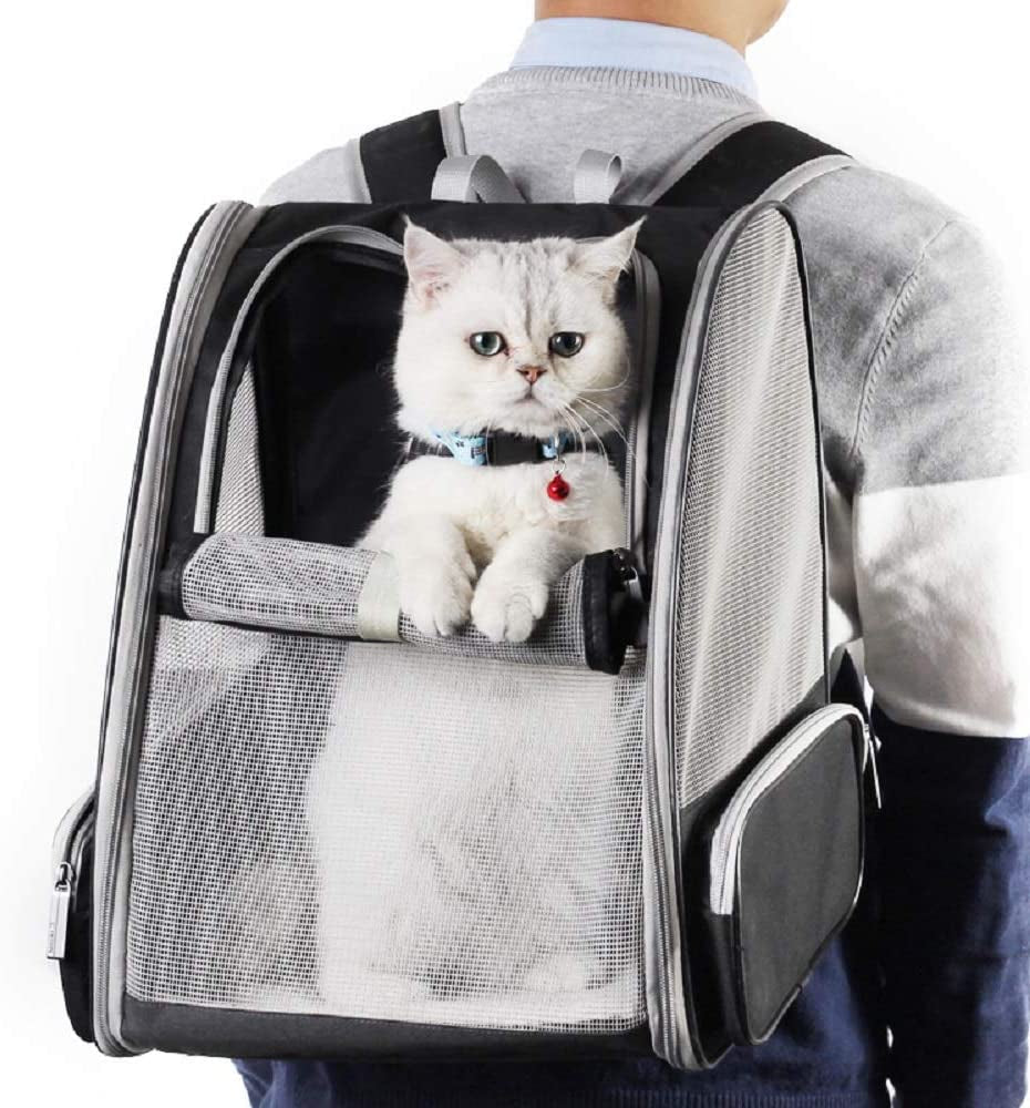 Traveler Bubble Pet Backpack